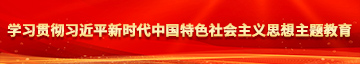 暴操熟女黑屄学习贯彻习近平新时代中国特色社会主义思想主题教育